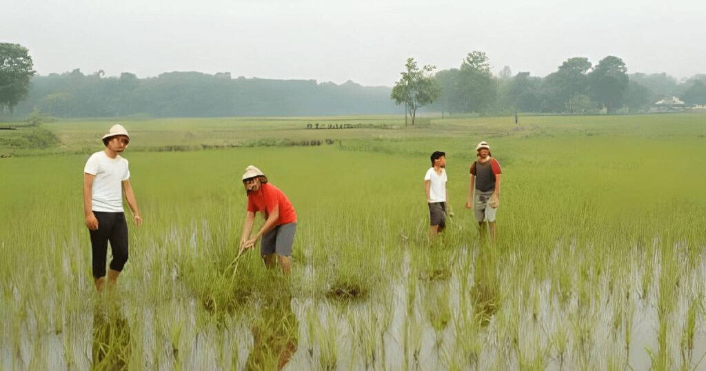 ベトナムの農村の様子